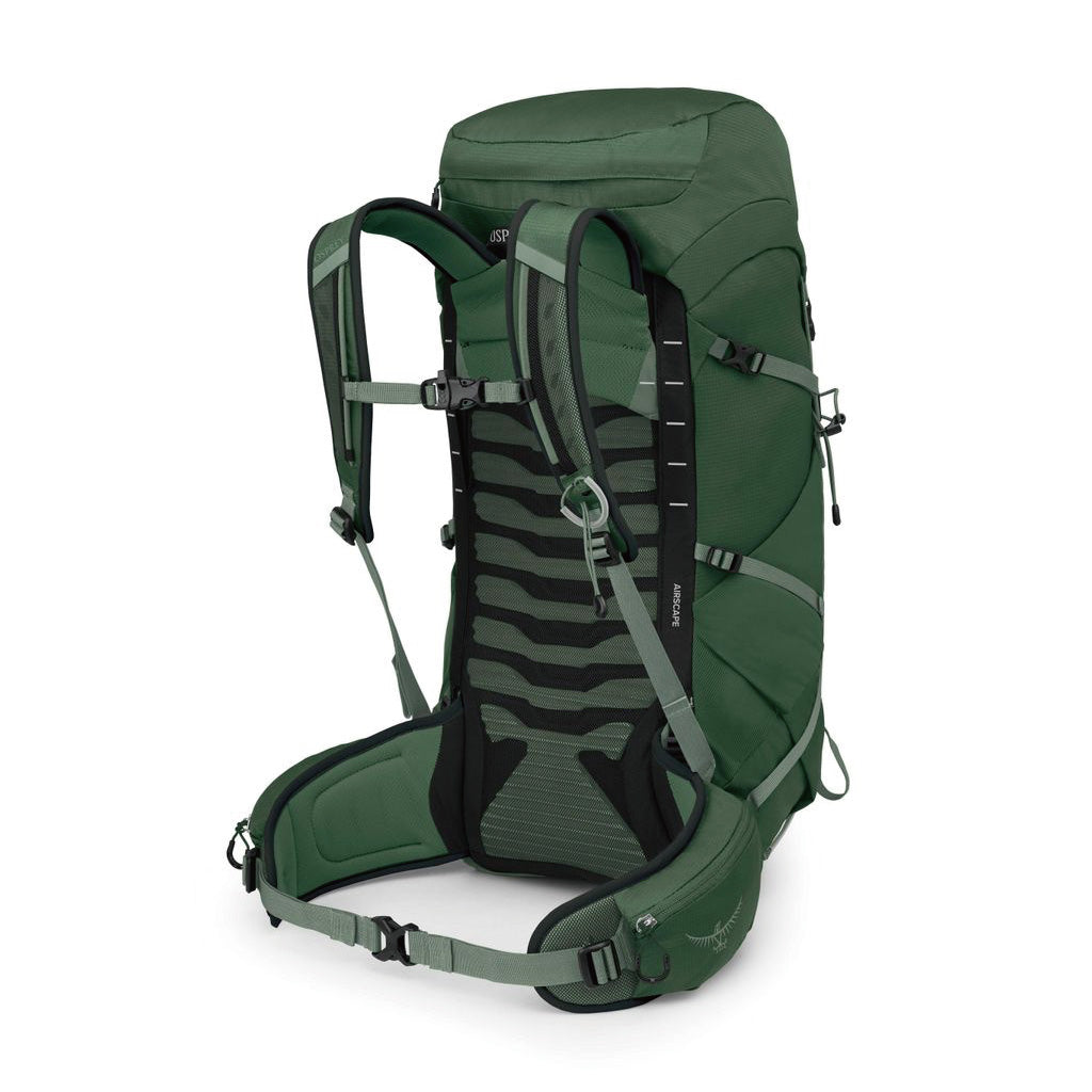 Osprey TALON 33 - Green Canopy Pine Leaf
