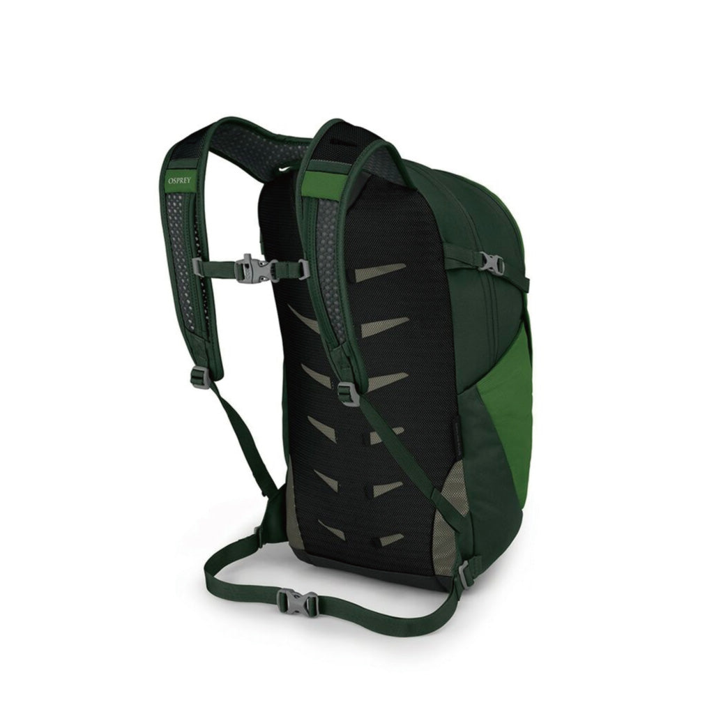 Osprey Daylite Plus - GREEN BELT / GREEN CANOPY